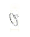 Anello Icona